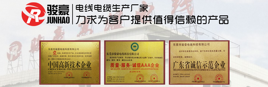 1-1P411113K0431 德赢VWIN电线声誉证书展示